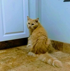 Meet your Posher, Katherine